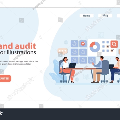 Brand Audit and Consulting